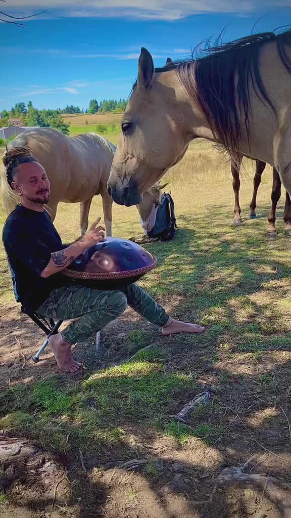 Vidéo